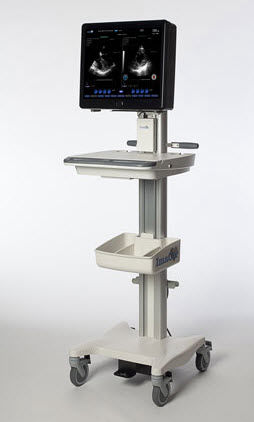 FPGA Ultrasound Processing